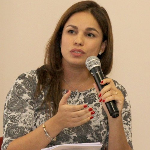 [Ana Elisa Bechara ]